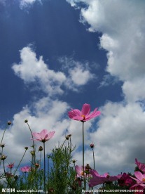 天空