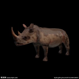 犀牛