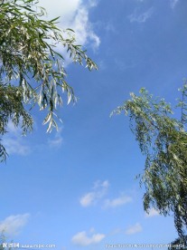 蓝天
