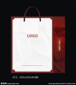 手提袋设计 高档手提袋