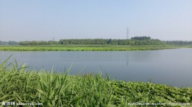 河流