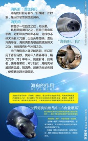 海狗 肝  肉  蓝色 白云