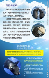 海狗角鲨烯 蓝色 白云