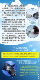 海狗  介绍  蓝色 白云
