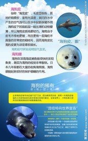 海狗皮眼