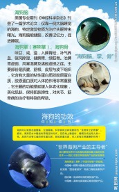 海狗  掌  骨  脑