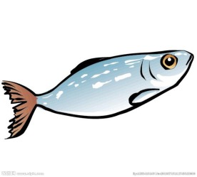 矢量鱼
