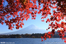 富士山
