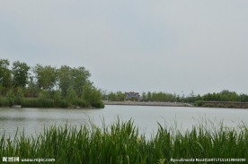 南海子风景