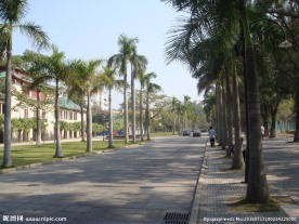 校园风光 厦门大学