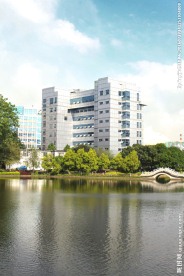 柳钢大楼对面楼