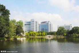 柳钢集团大楼