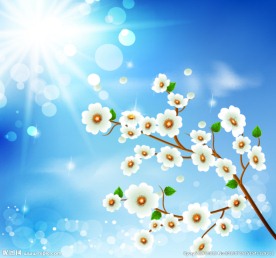 阳光下的梦幻蓝色花朵