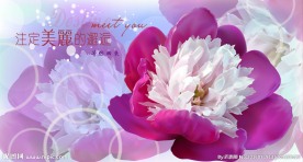 粉色花
