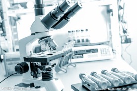 显微镜医疗设备