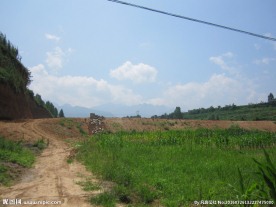 田间小路