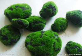 青苔石头