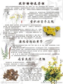 中药展板