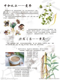中药展板