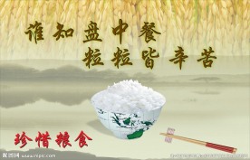 珍惜粮食
