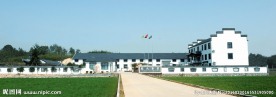茶叶基地建筑摄影