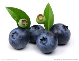 蓝莓
