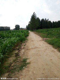 乡村小路