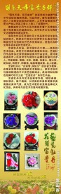 牡丹瓷