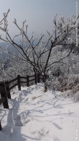 雪山