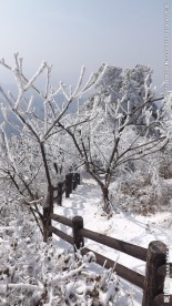 冰雪的世界