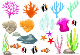 珊瑚礁鱼矢量素材