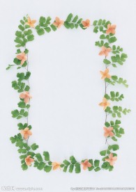 花草