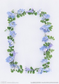 蓝色鲜花