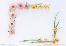 鲜花