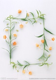花草