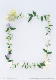 鲜花和绿叶
