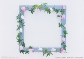 花草与相框