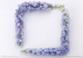 鲜花花艺摆设