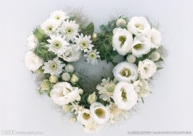 心形鲜花摆设