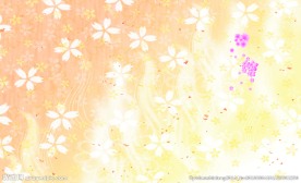 花背景