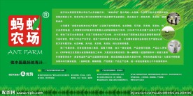 蚂蚁农场简介