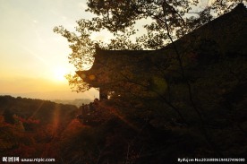 日本寺庙