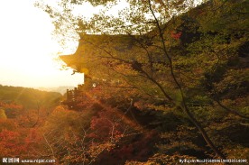 日本寺庙