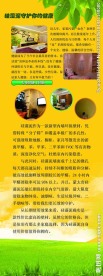硅藻泥展架