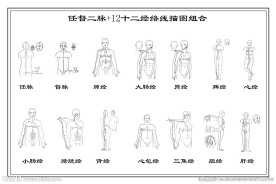 经络图