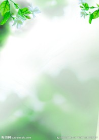 清新绿色海报背景