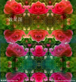 蔷薇花特效炫彩视频背景