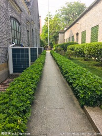绿道