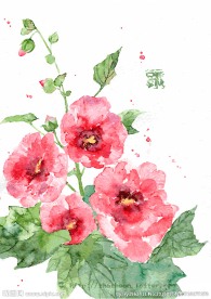 红色花朵