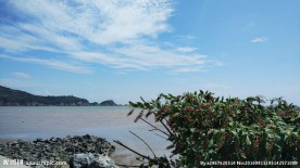 洋山沈家湾